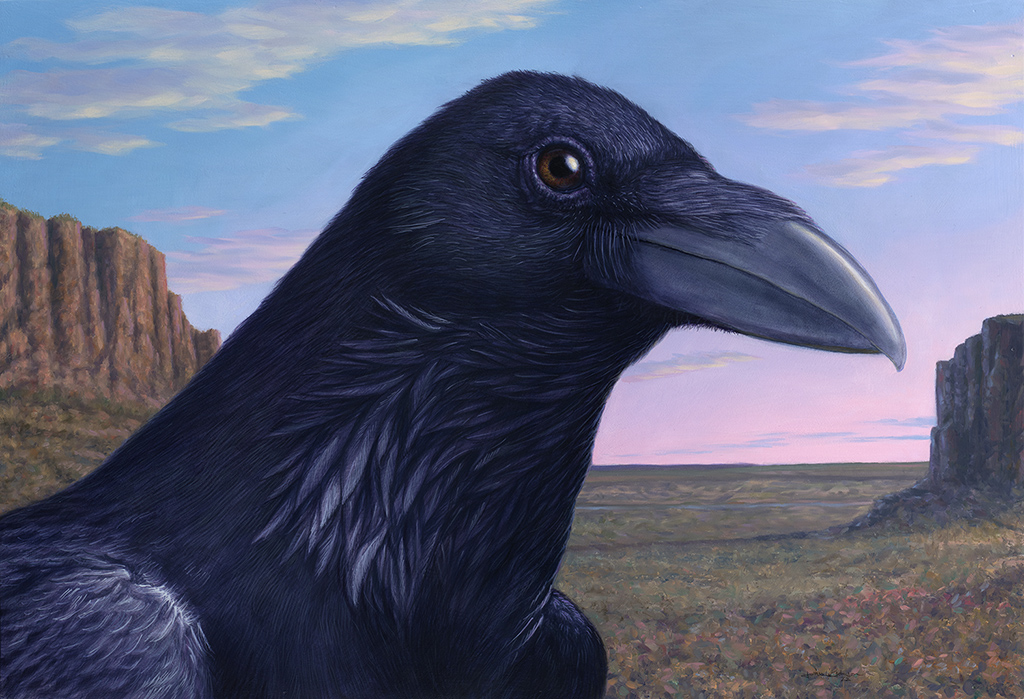 Portrait of a Chihuahuan Raven